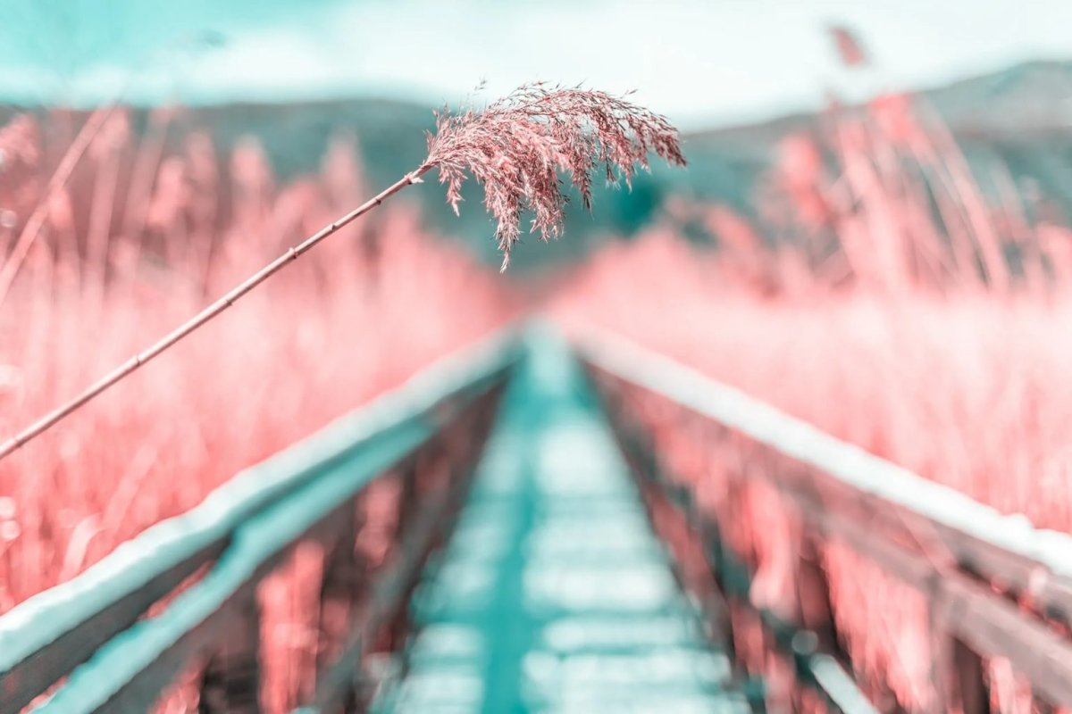 Вдохновляющие обои