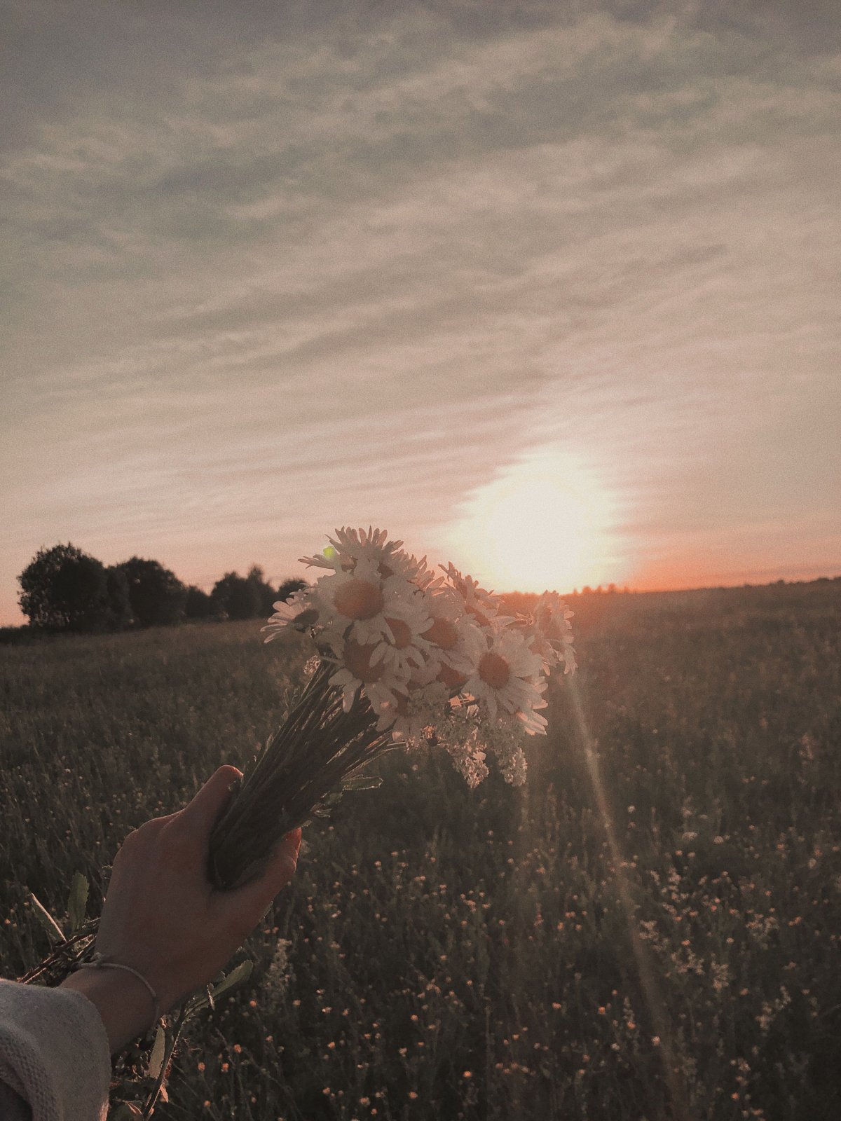 Эстетика природы лето