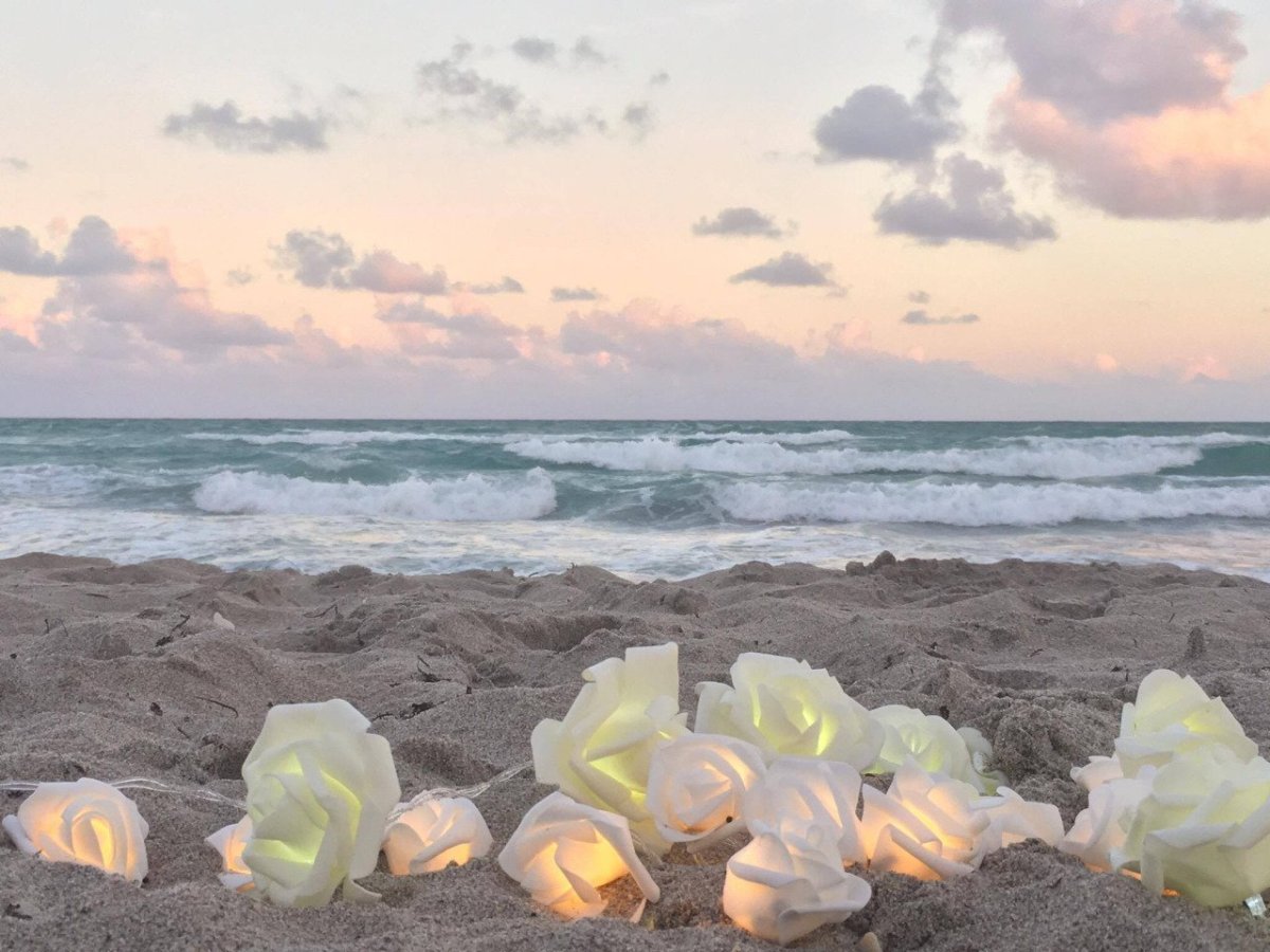 Пляж Эстетика