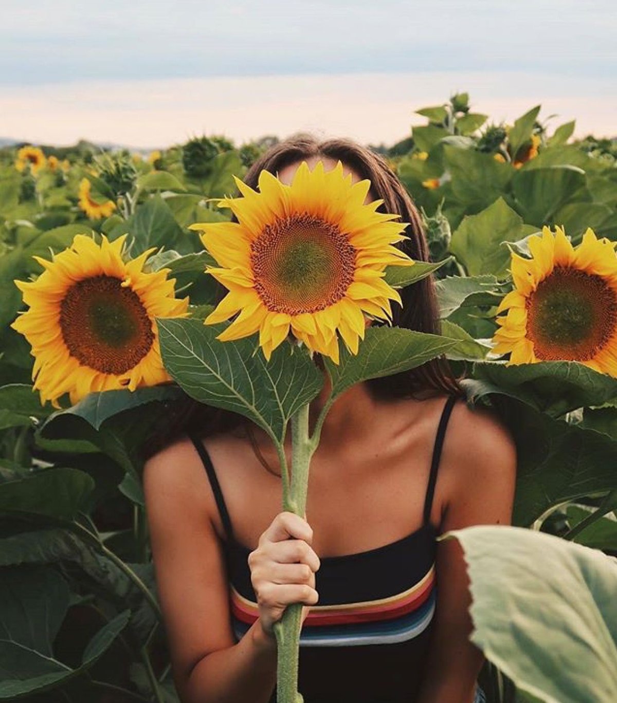 Лето Эстетика