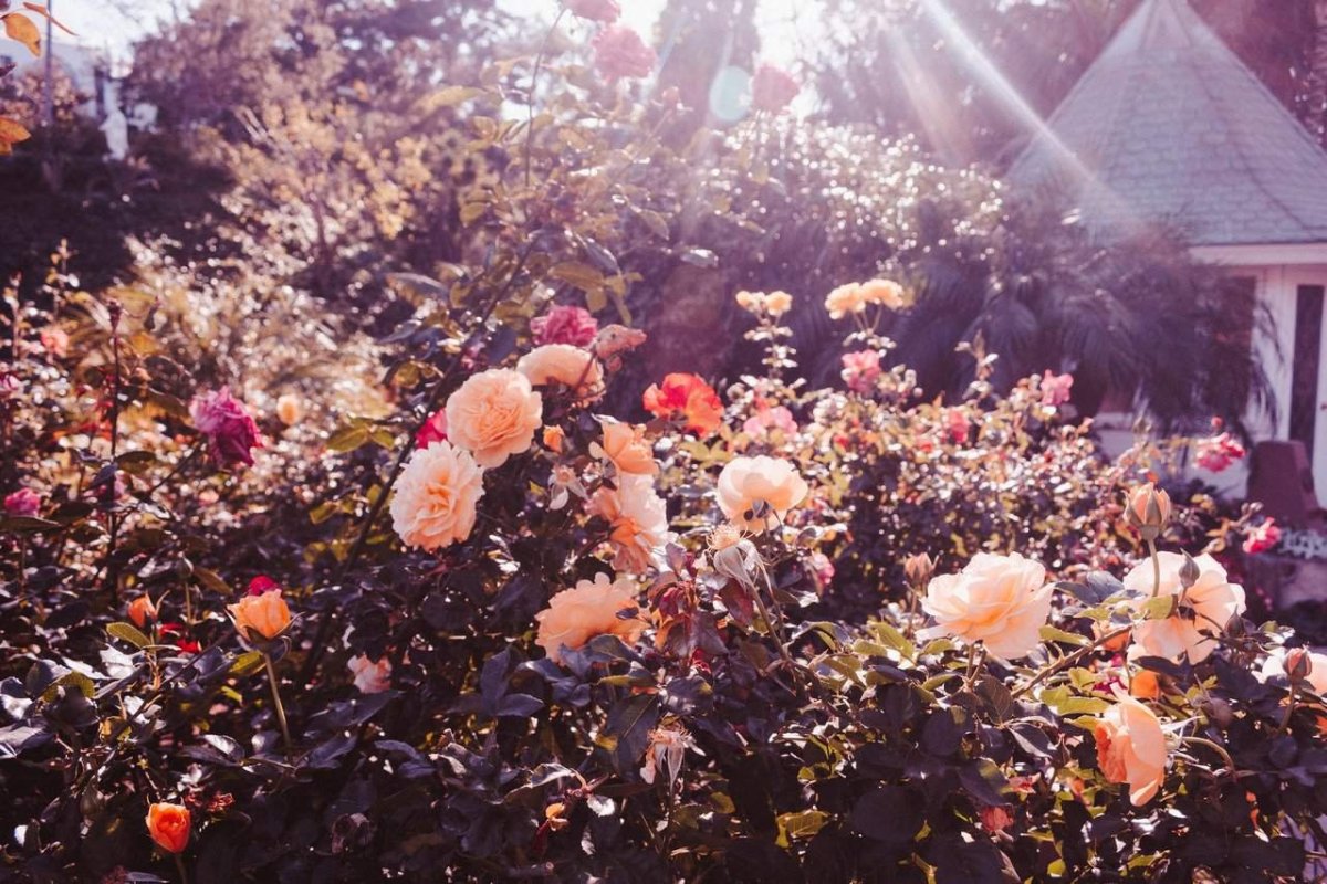 Лето счастье