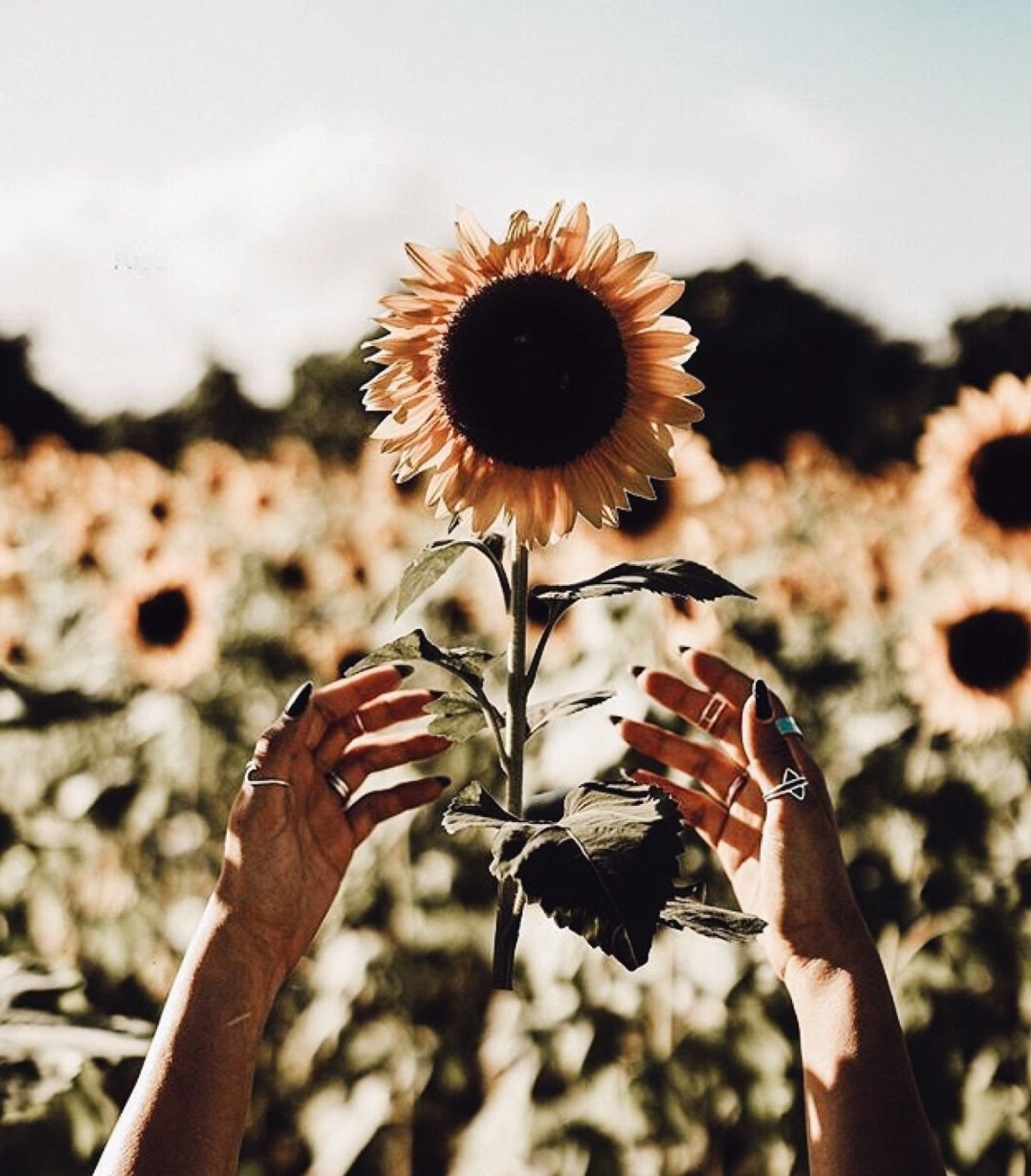 Желтый фотоаппарат Эстетика