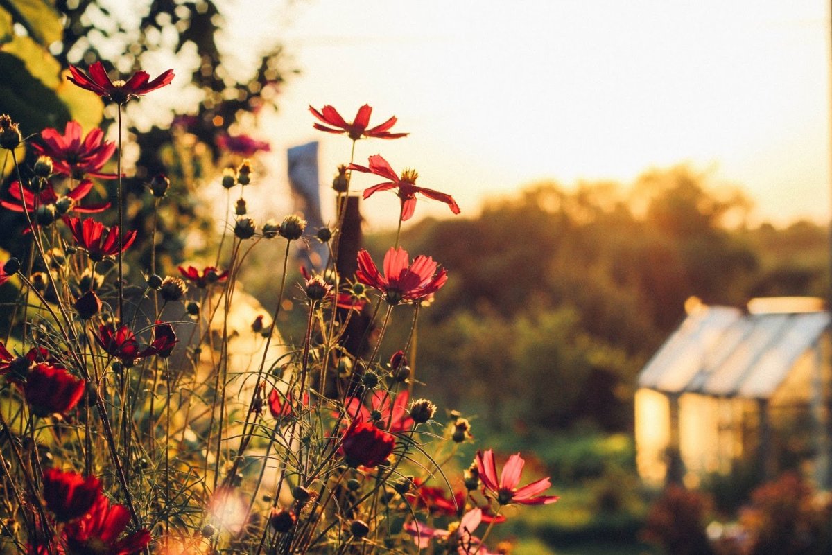 Эстетика природы