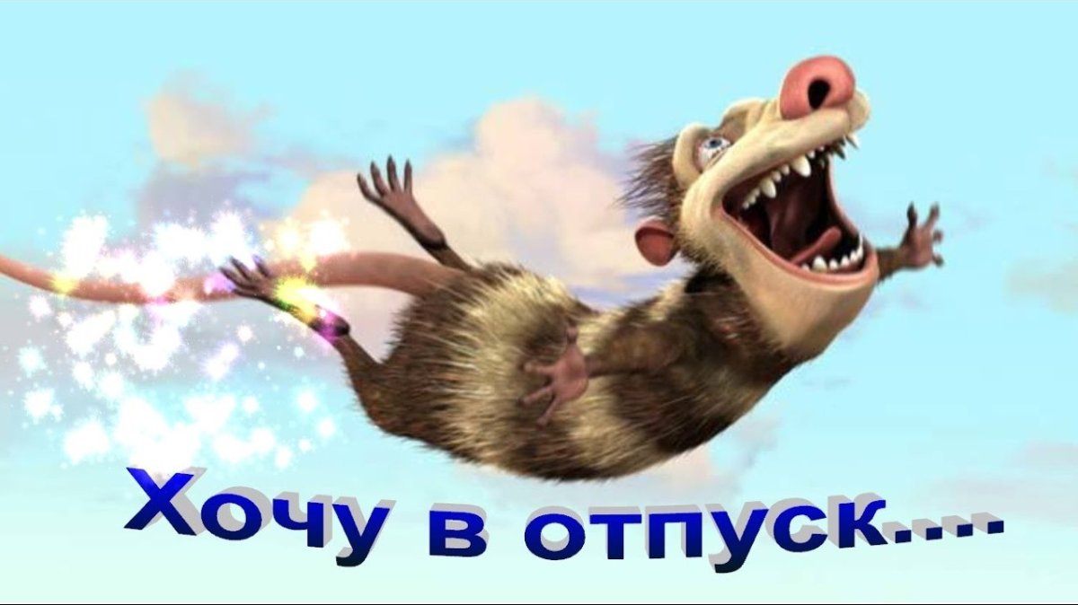 Сумка кошка