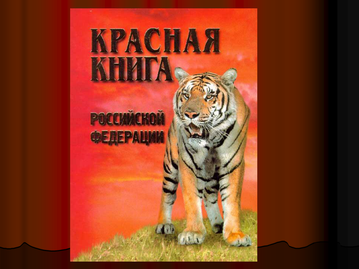 Фон для презентации красная книга