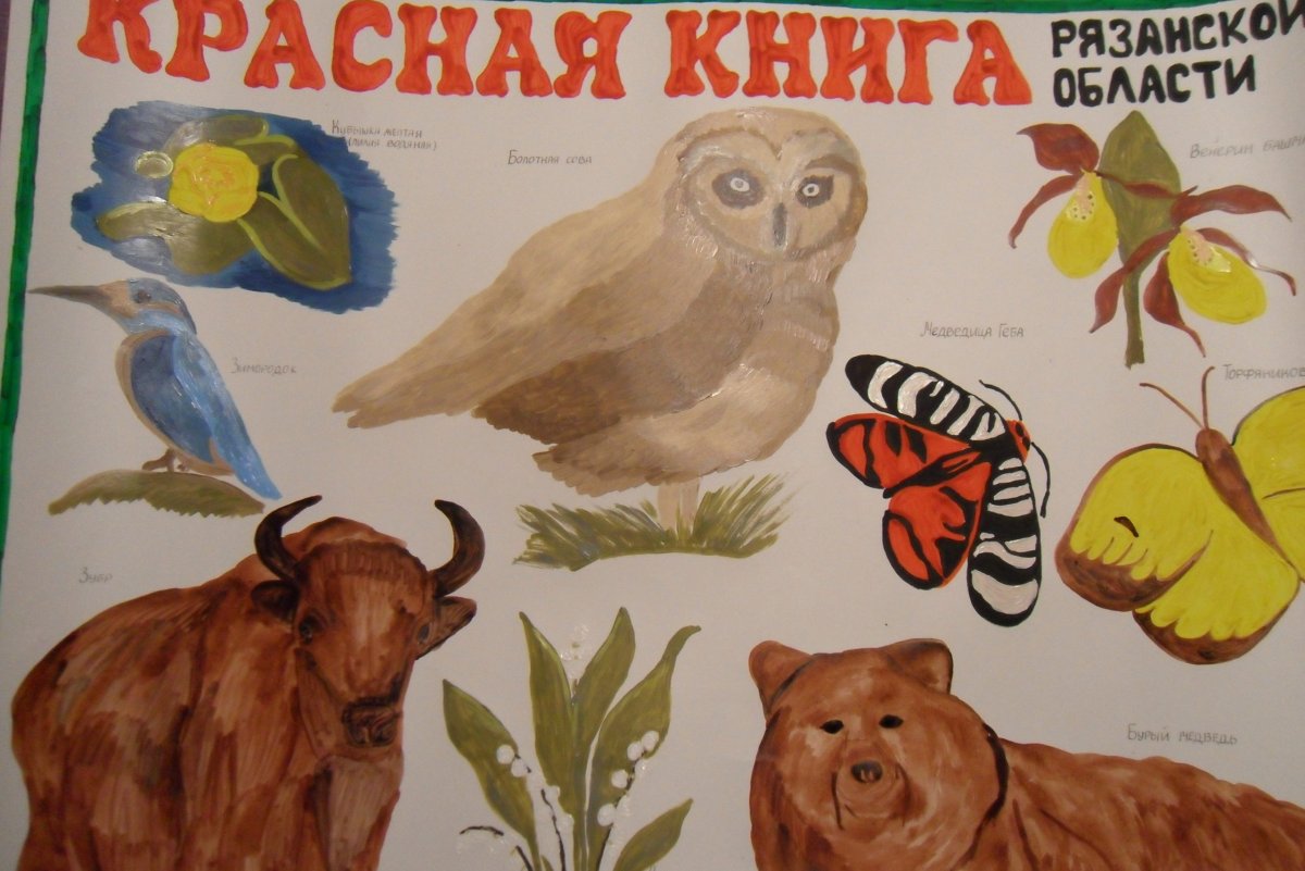 Красная книга фон