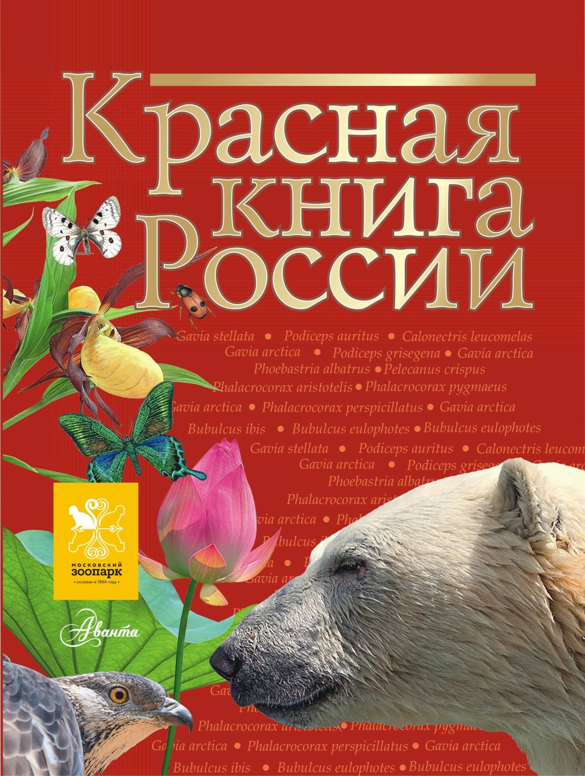 Красная книга рисунок