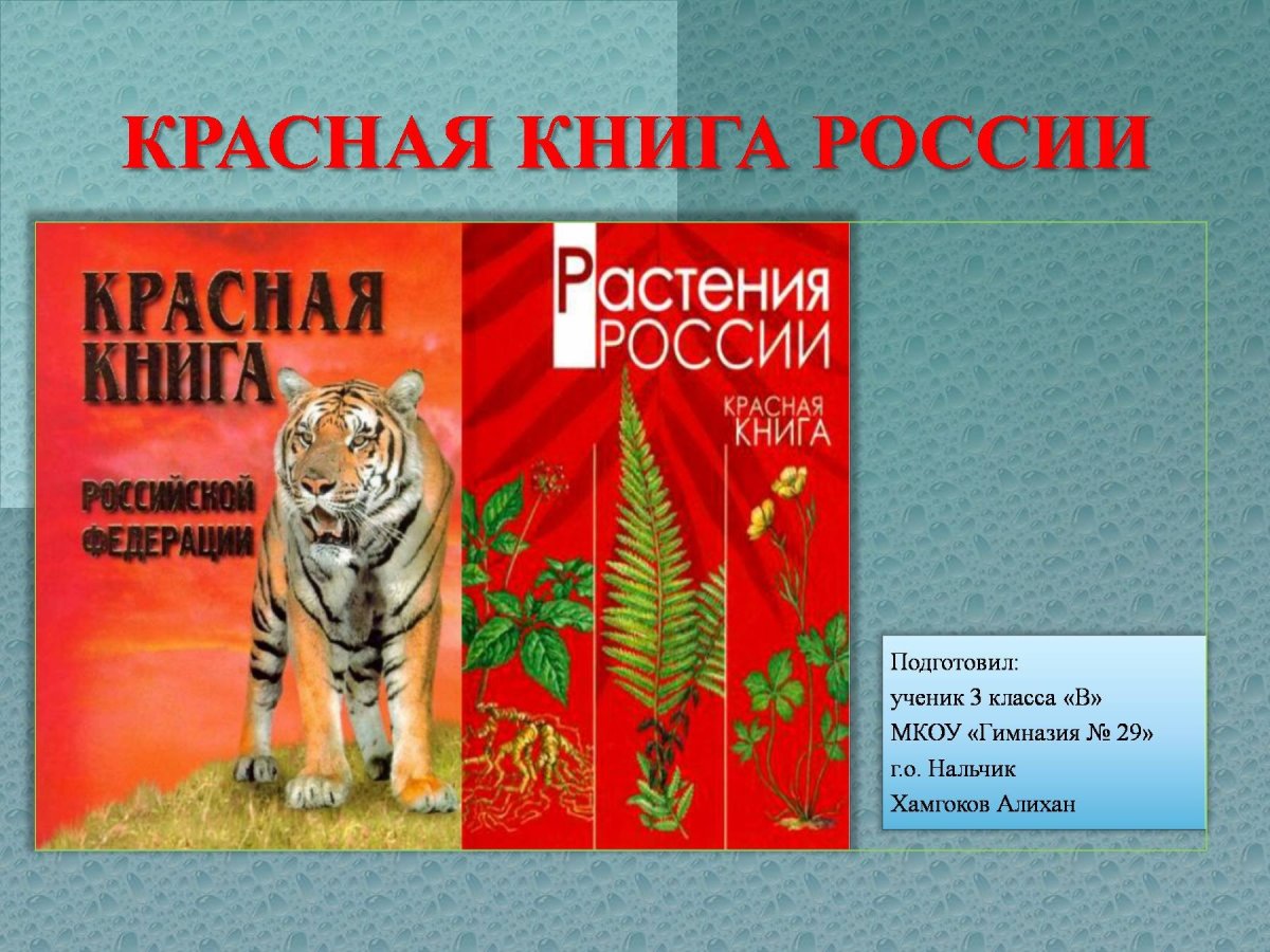 Красная книга России книга