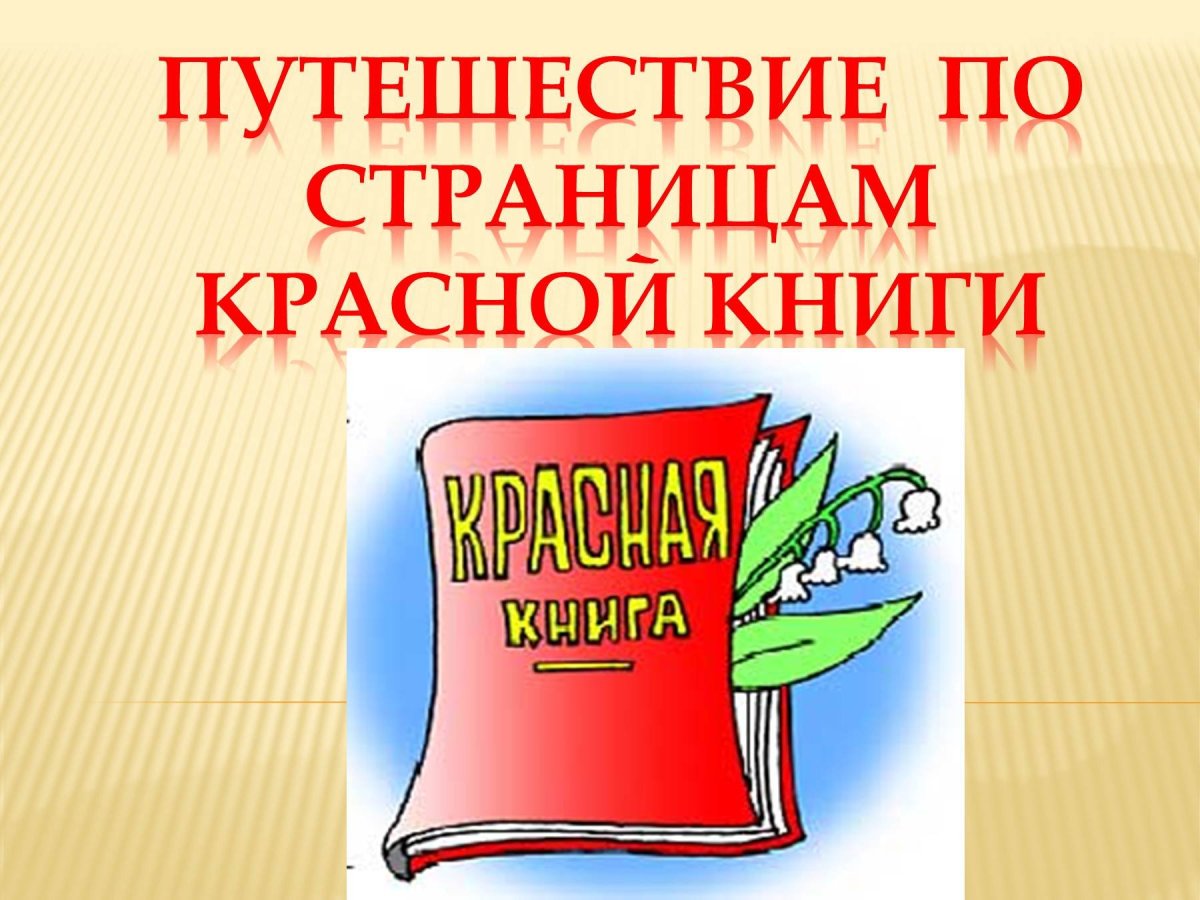 Рамки для Краснок книги