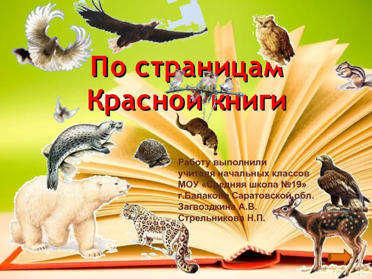 Красная книга глазами детей
