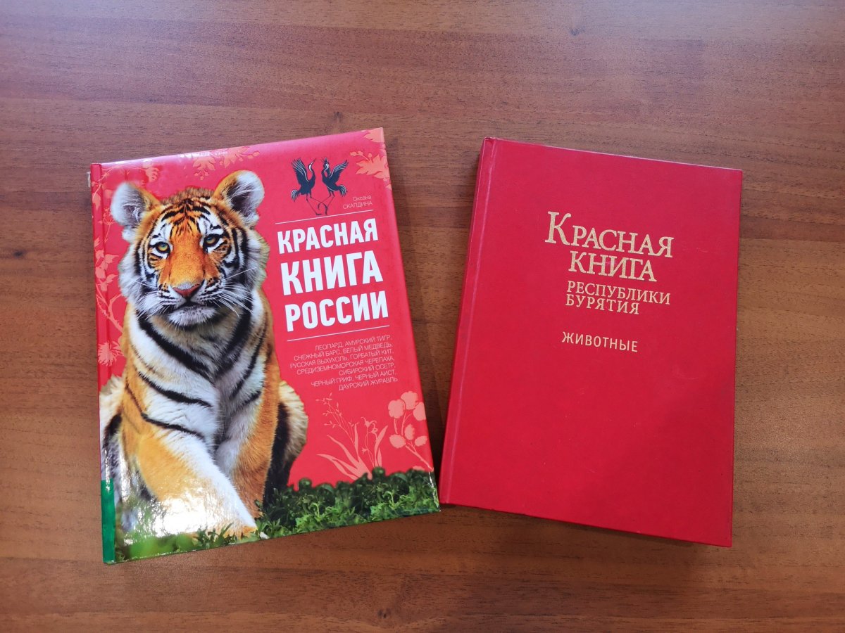 Красная книга