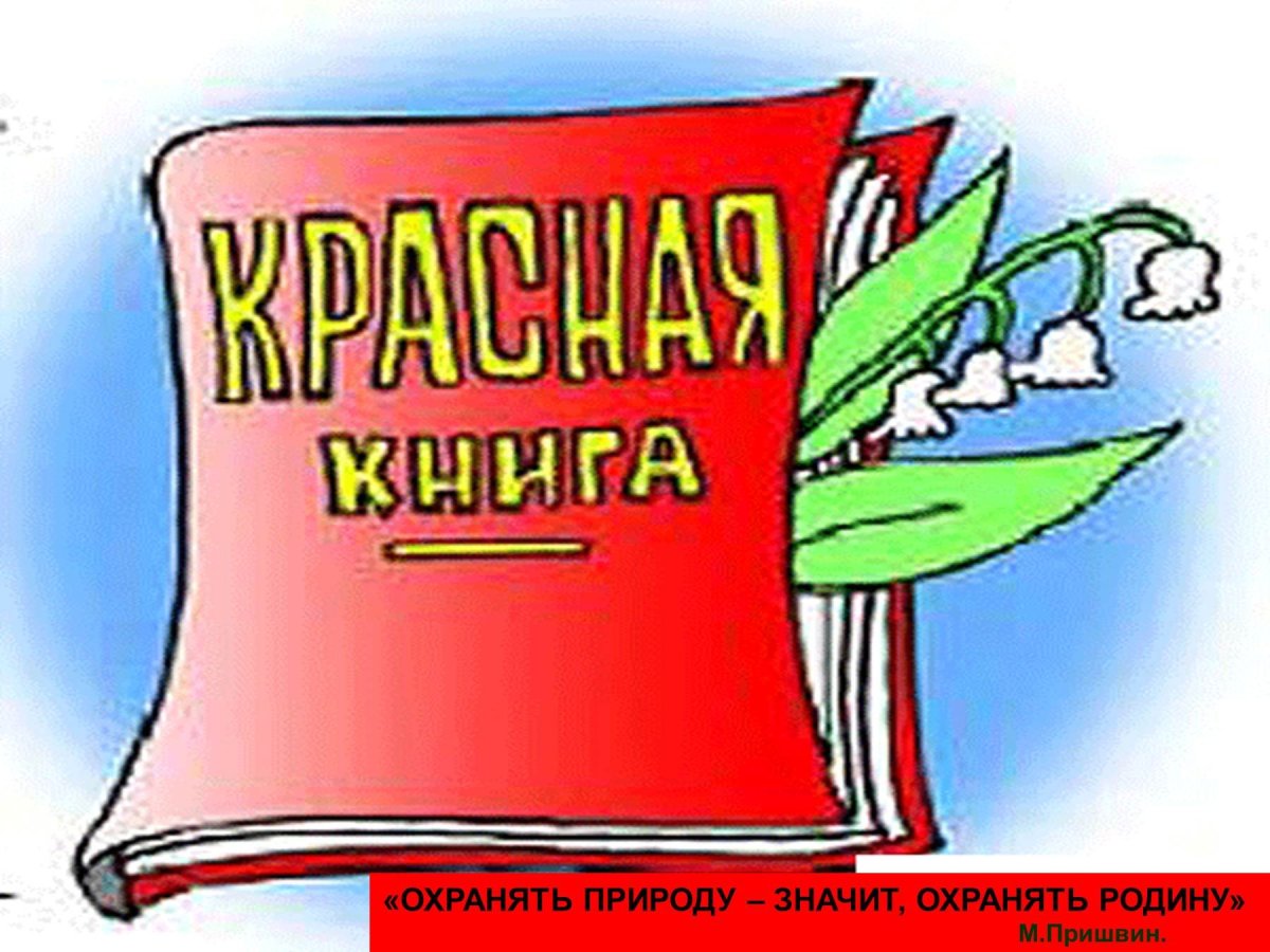 Красная книга