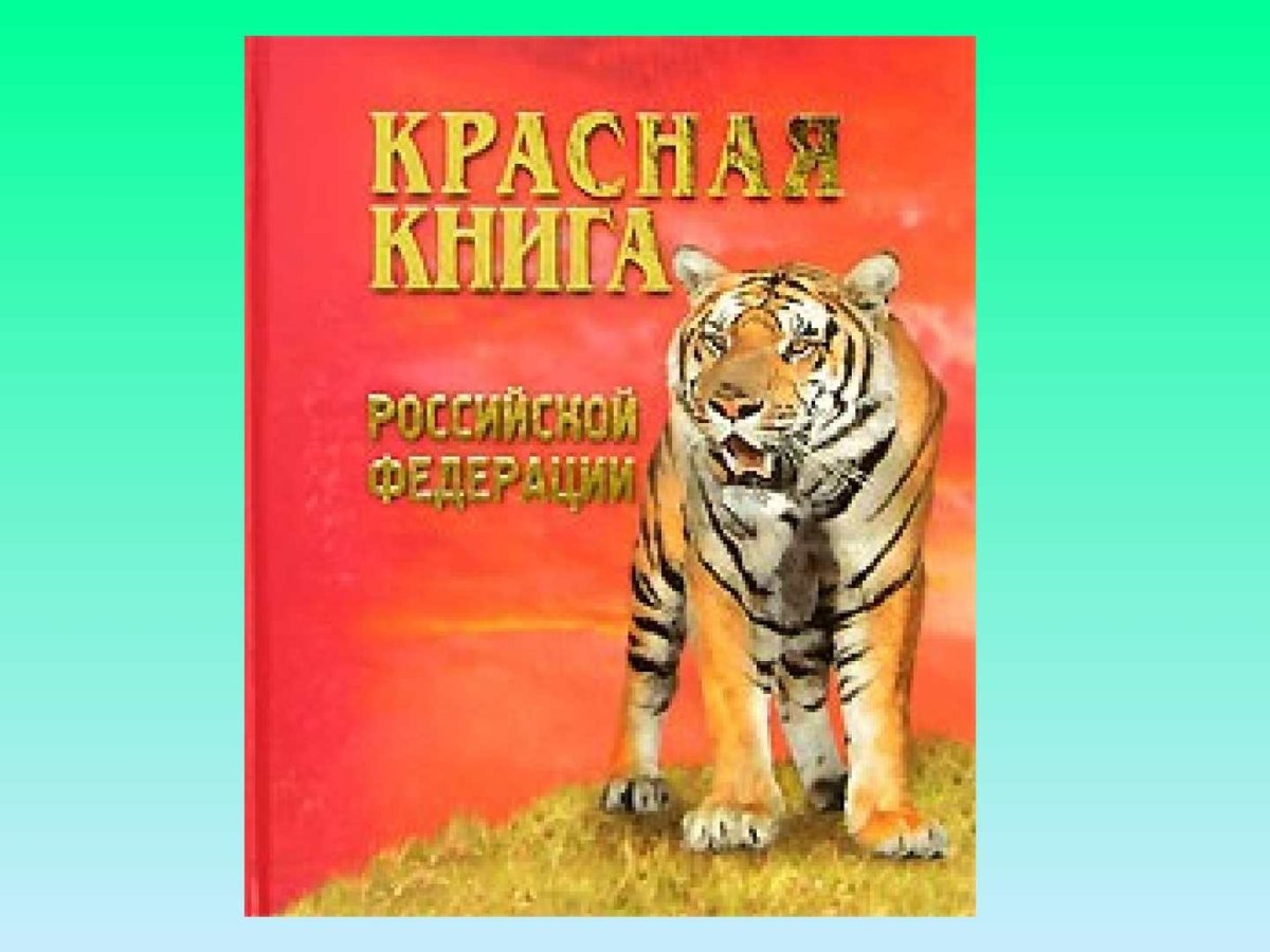 Плакат красная книга России