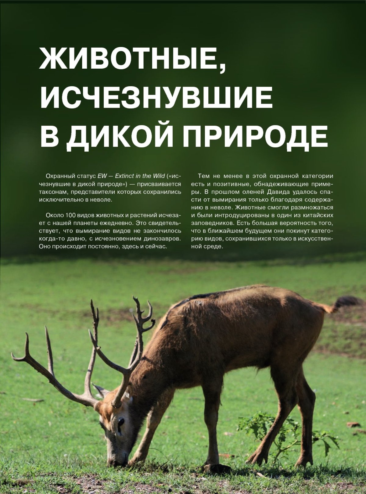 Экология красная книга