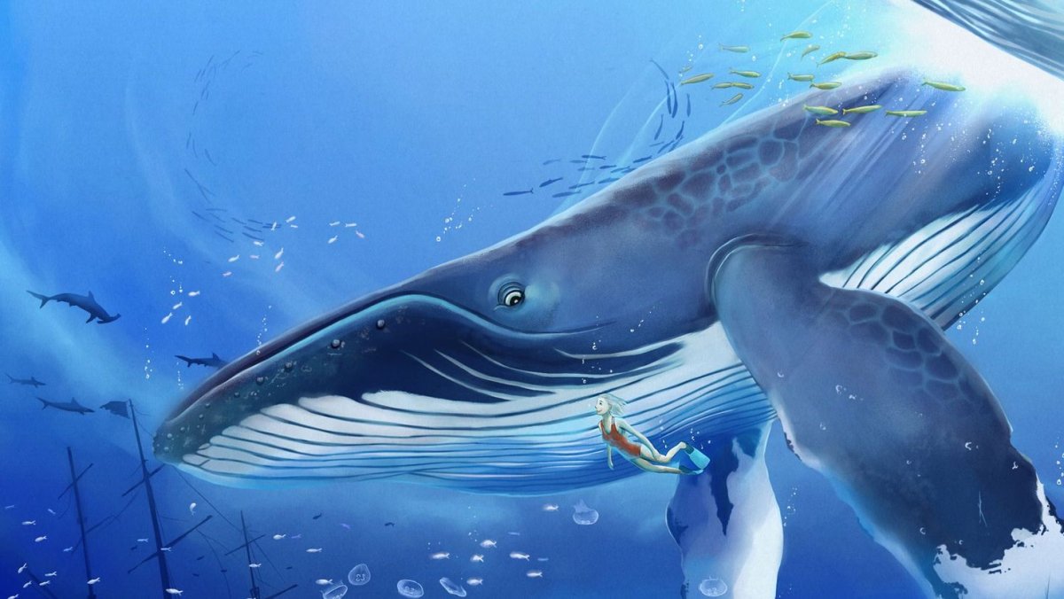 Морские обитатели кит