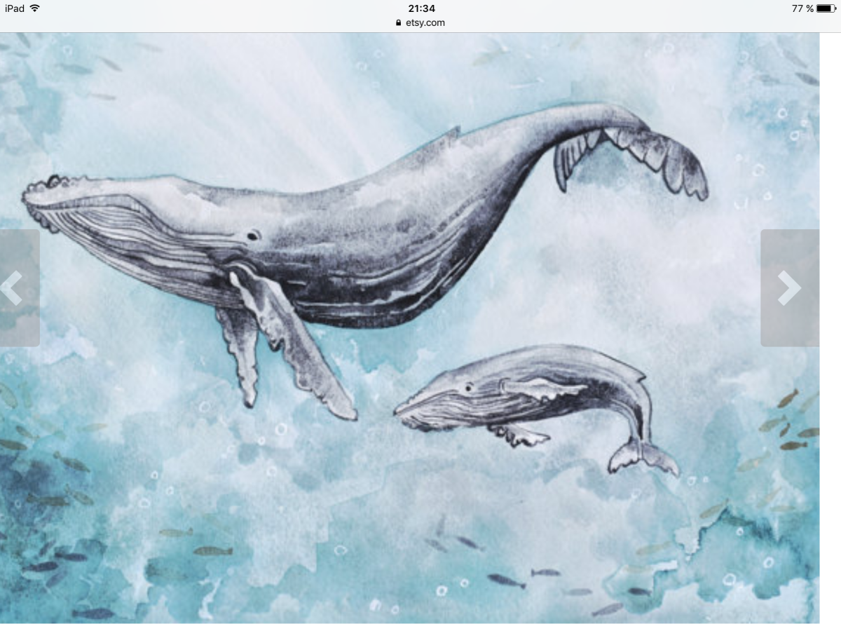 Горбатый кит арт
