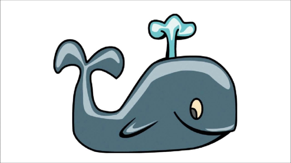 Плащ le phase de la baleine