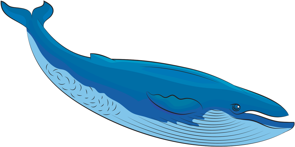 Мазевая основа кит