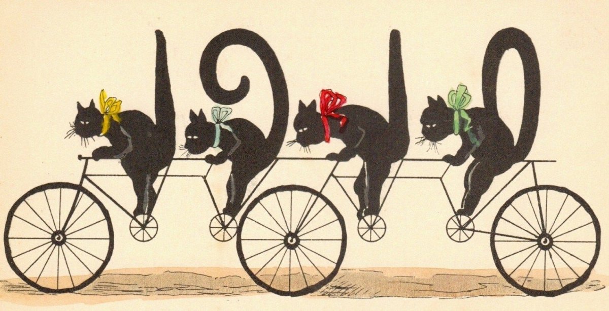 Кошка на велосипеде