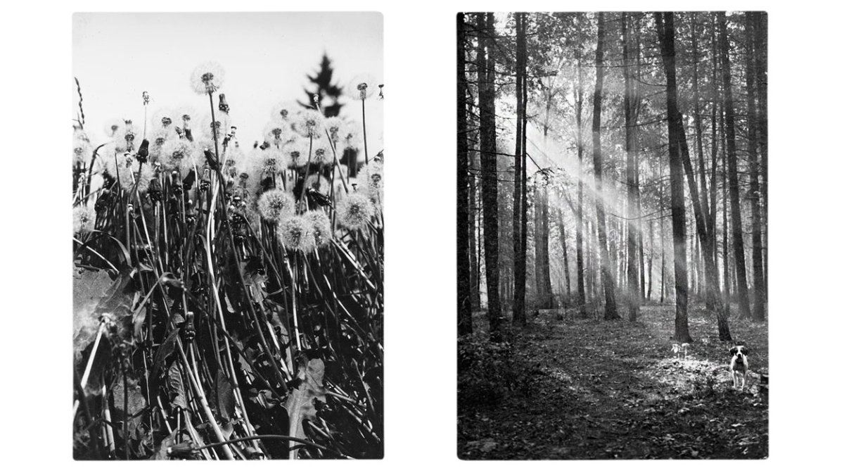 Михаил пришвин фотограф