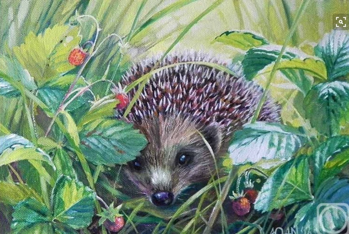 Илюстрацыя Пришвина "Лесной хозяин"