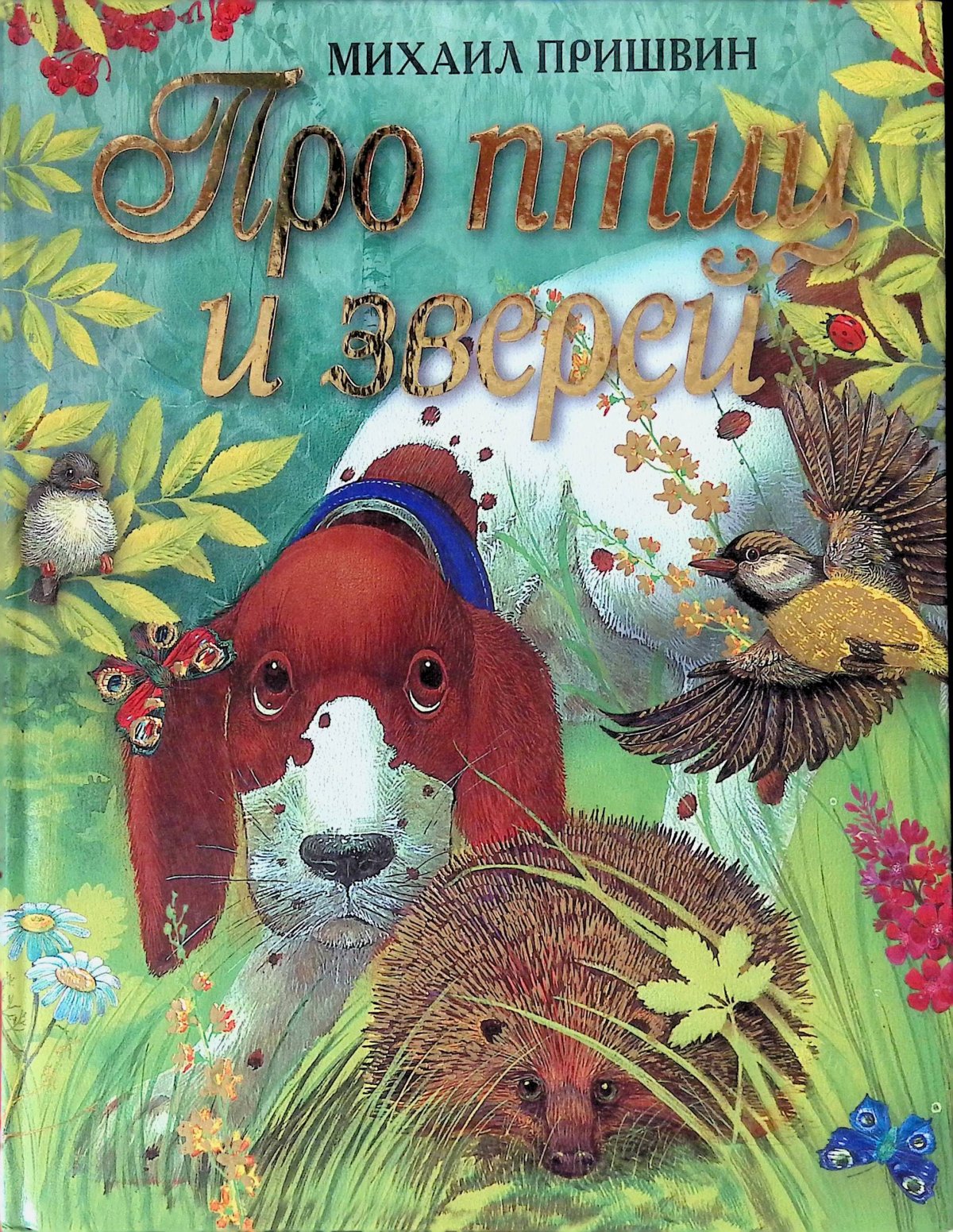 Портрет Михаила Пришвина