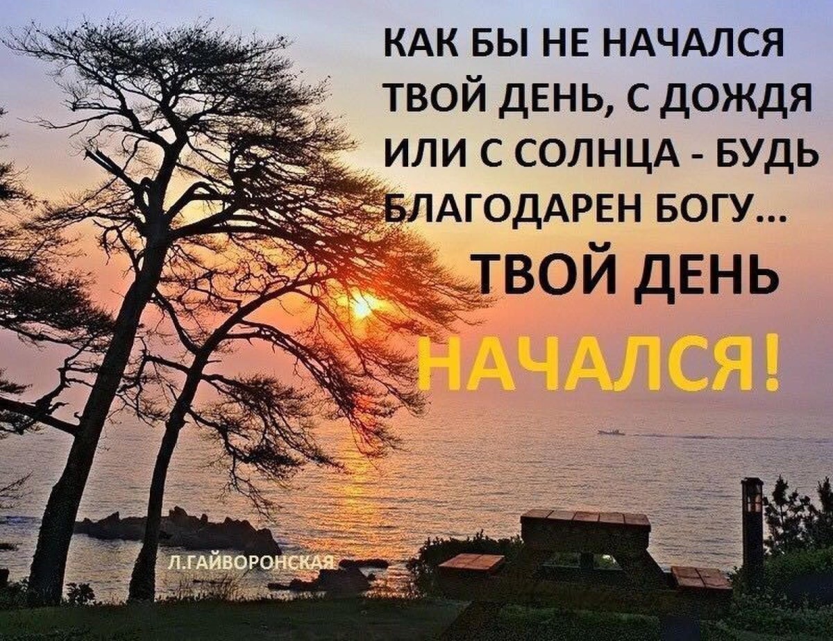 Новый день цитаты