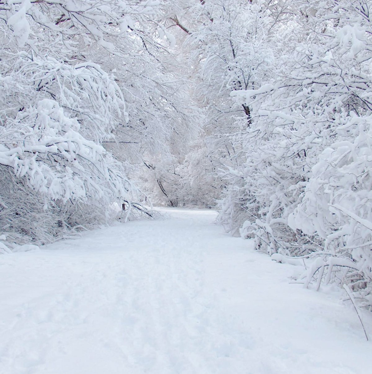 Красивый снегопад