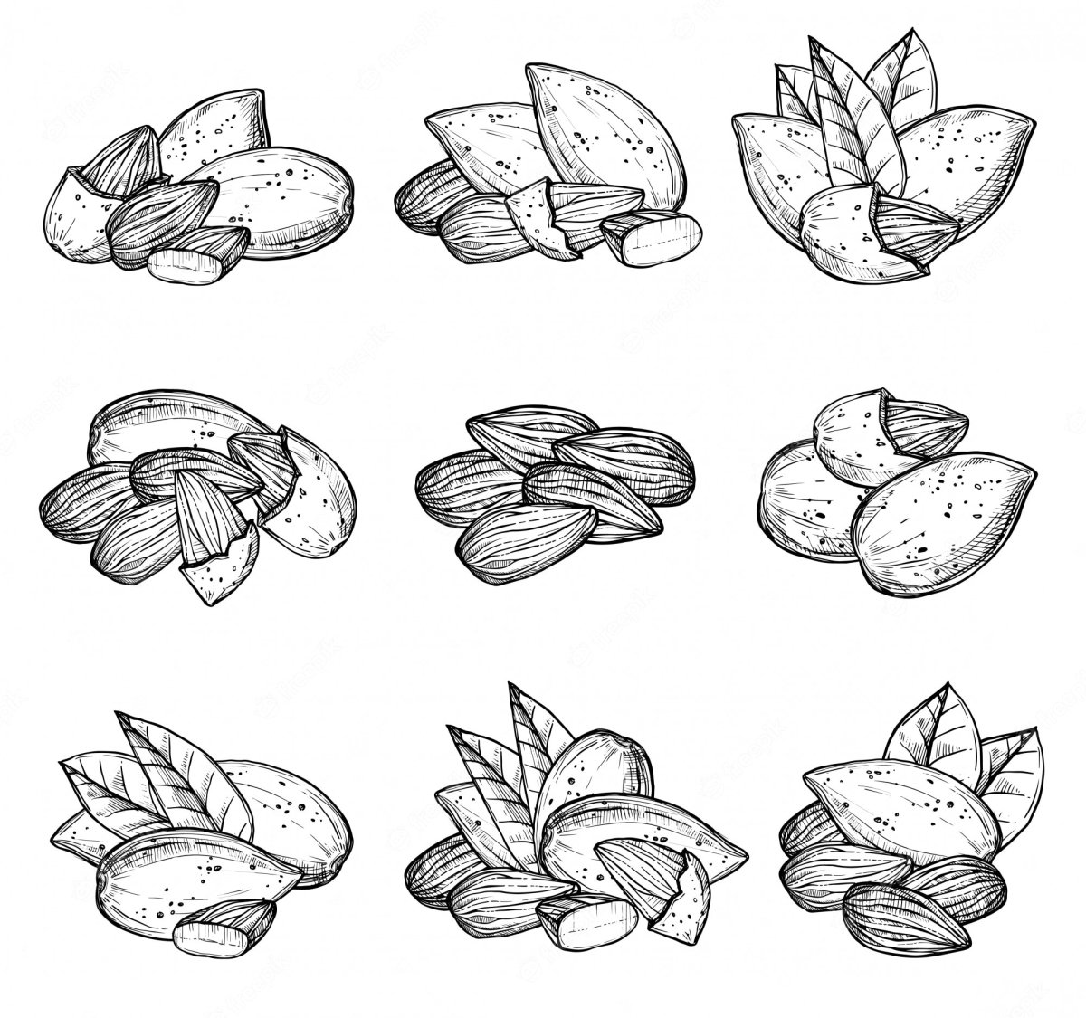 Миндаль рисунок