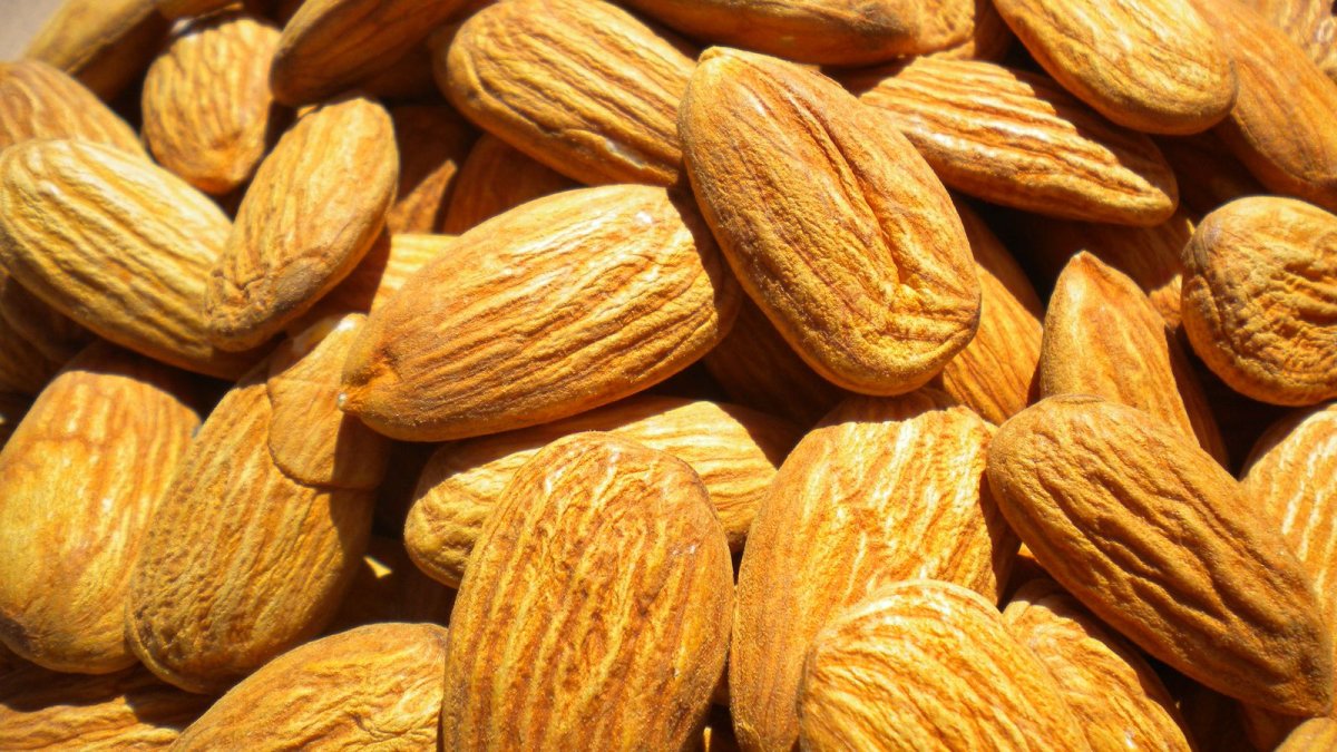 Цветы миндаля