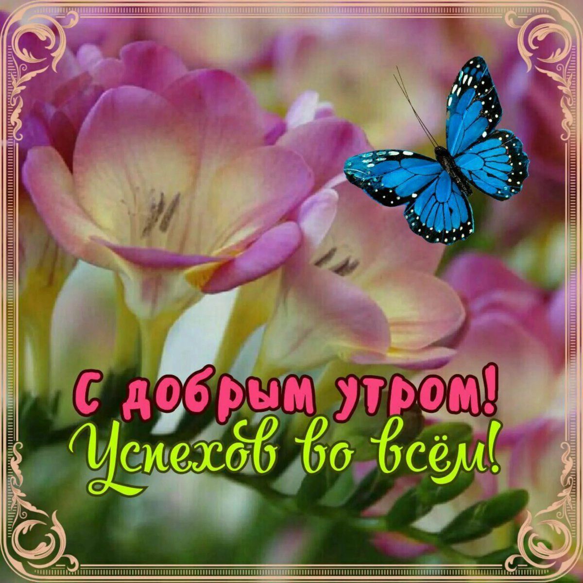 Пожелания с добрым воскресным утром