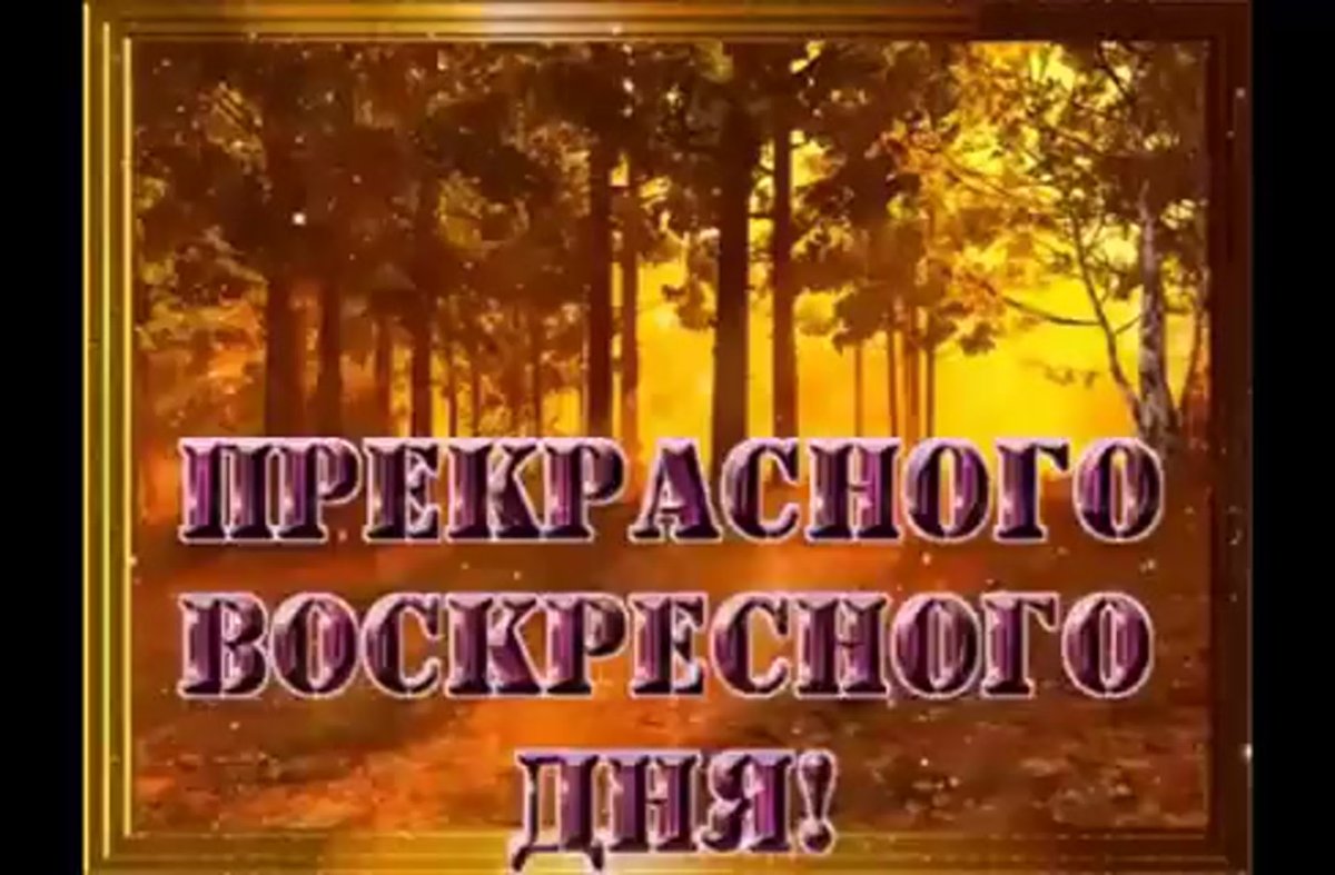Открытки с добрым утром воскресенья