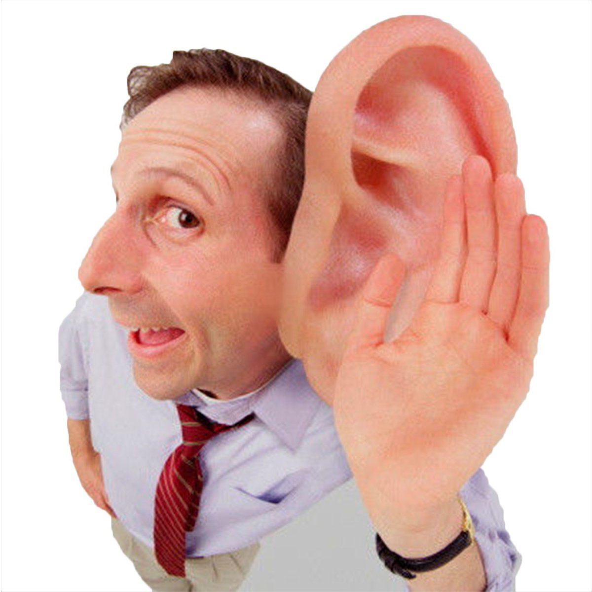 Ухо в профиль