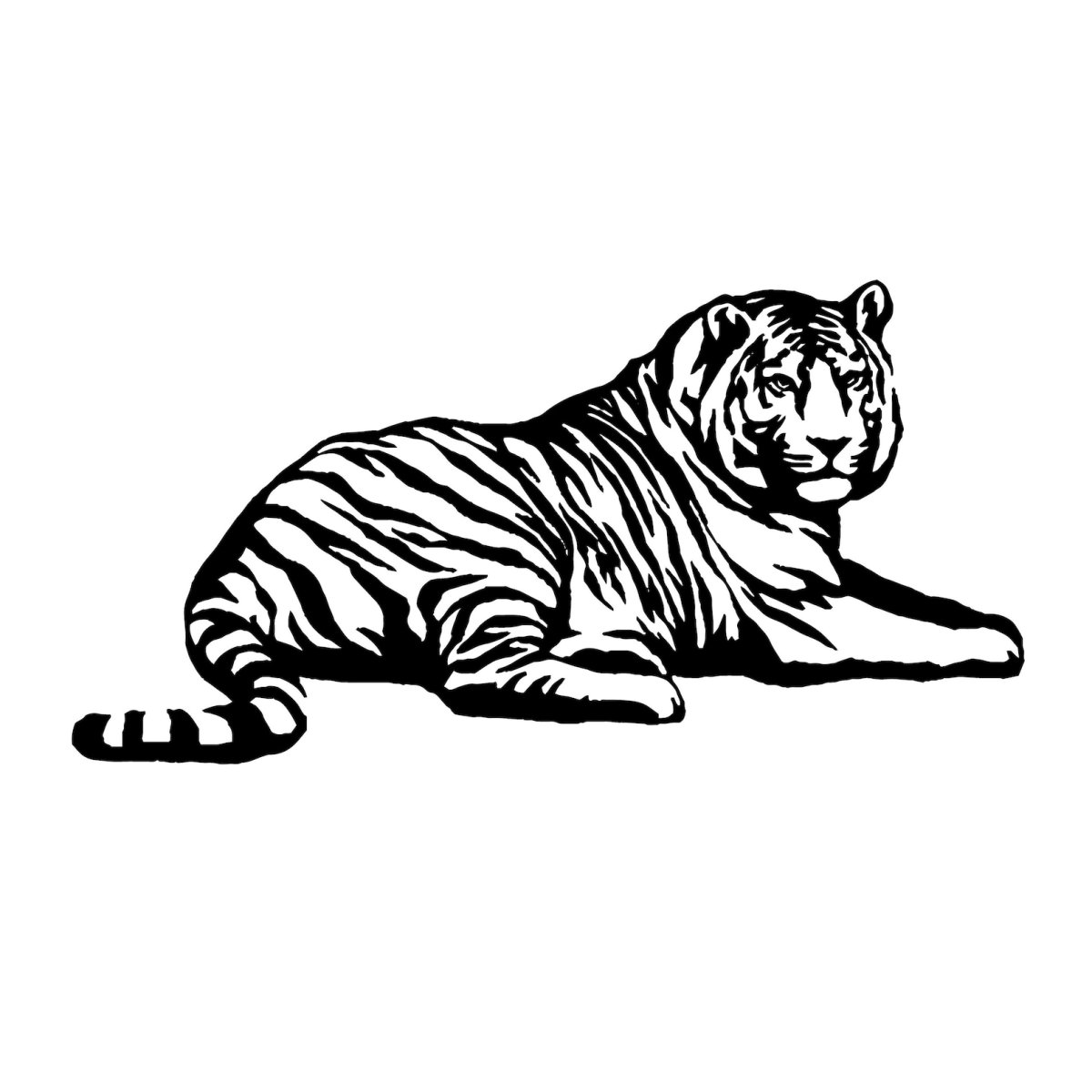 Тигр лежит черно белый