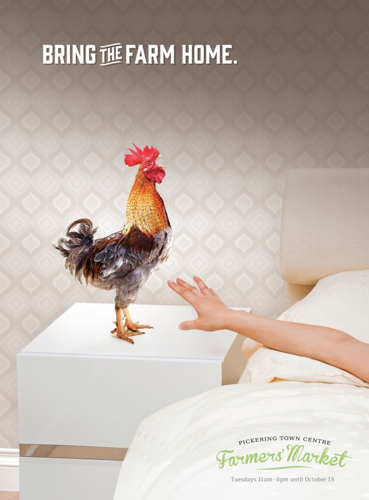 Креативная реклама курицы