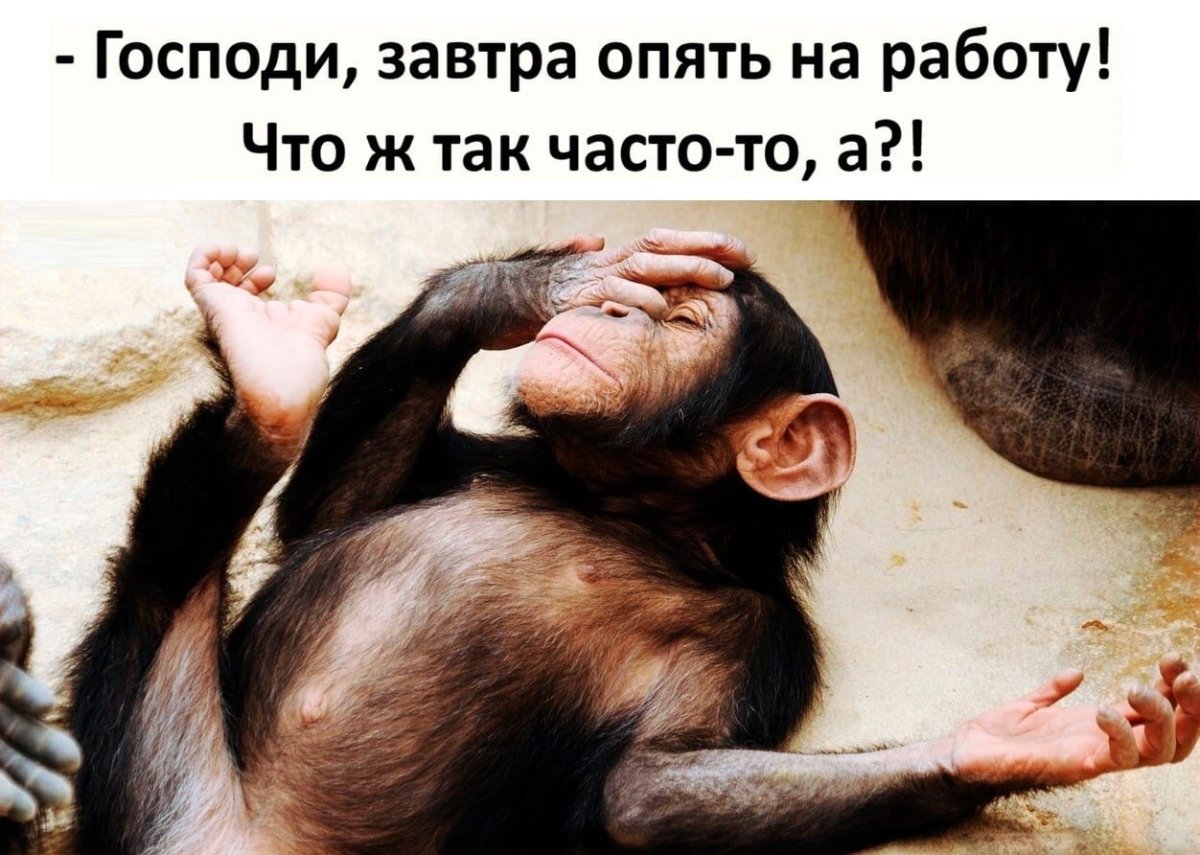 Господи завтра опять на работу