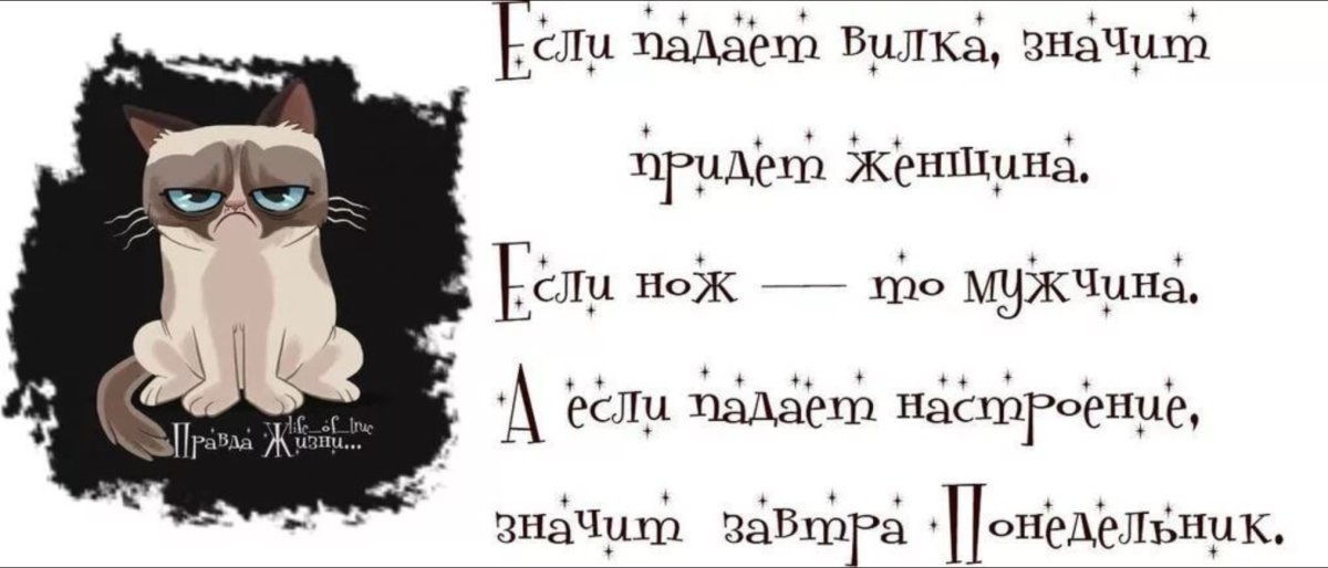 Смешные цитаты про вечер