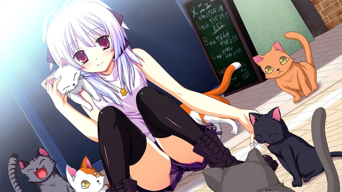 Аниме девочки кошки