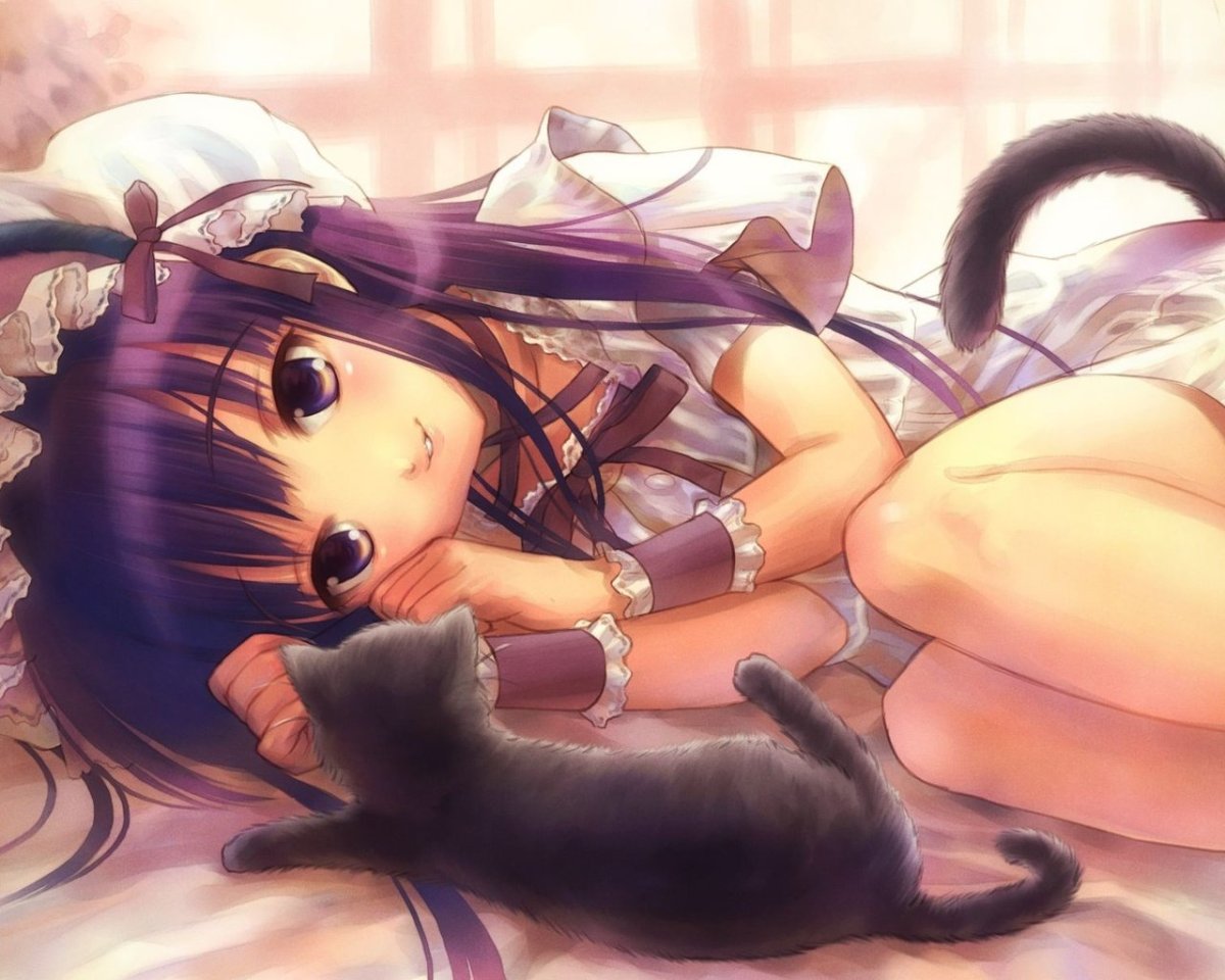 Аниме котики