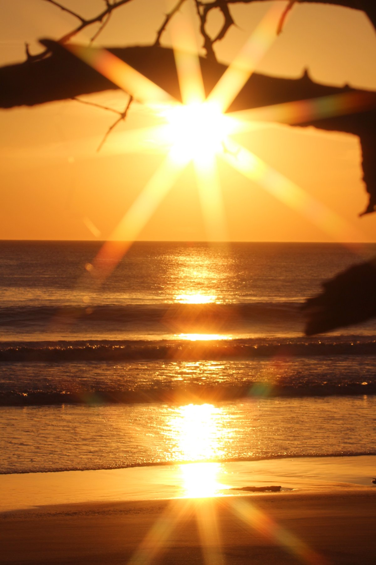 Лучи восходящего солнца