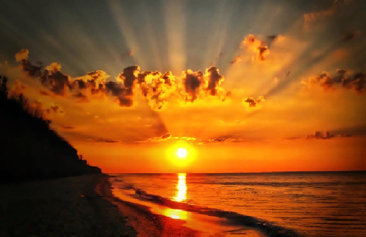 Рассвет жизни