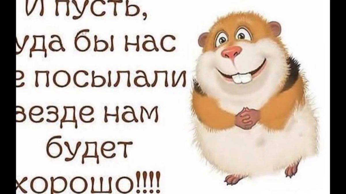 Веселые высказывания о среде в картинках