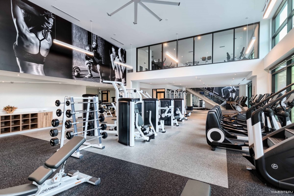 Интерьер спортивного зала