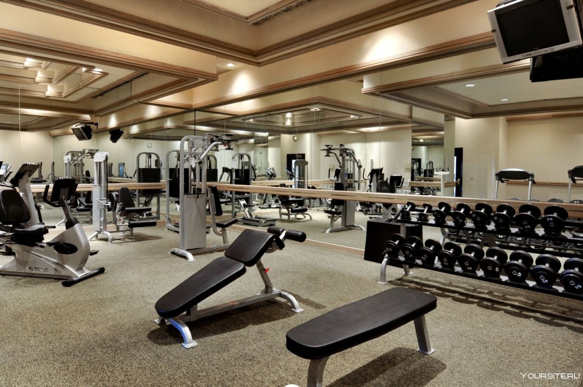 Элитный спортзал