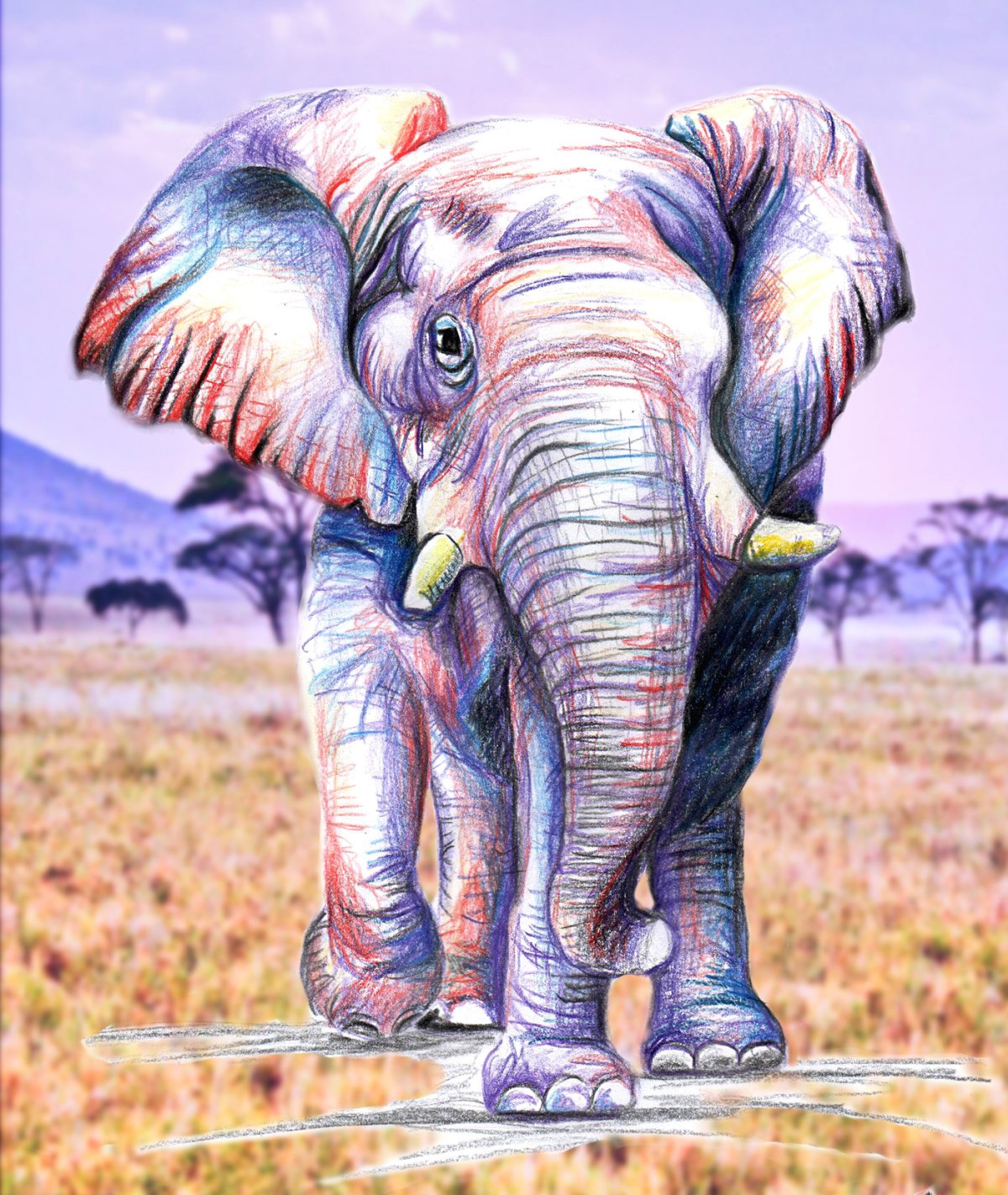 Мудрый слон