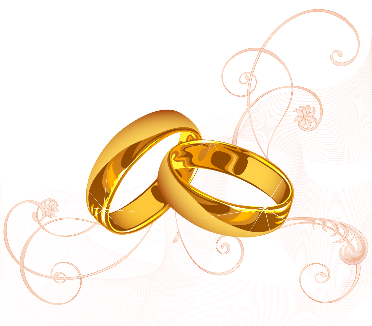 Свадебные кольца на прозрачном фоне
