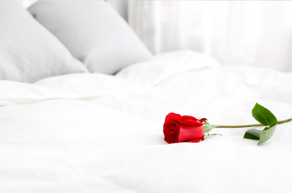 Цветы в постели утром