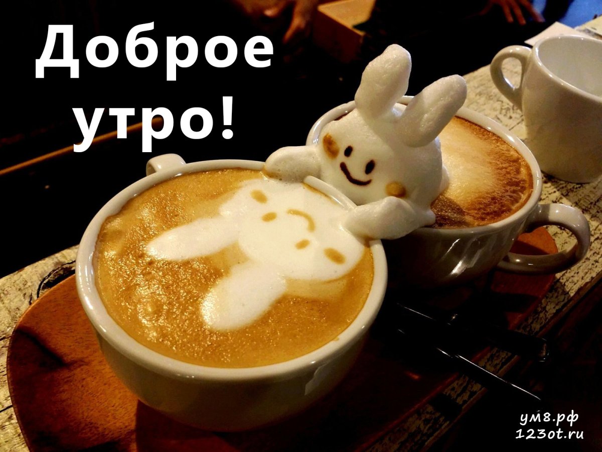 С добрым утром прикол
