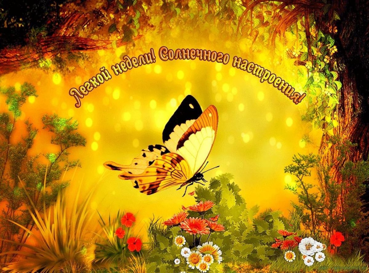 Открытки чудесного солнечного дня