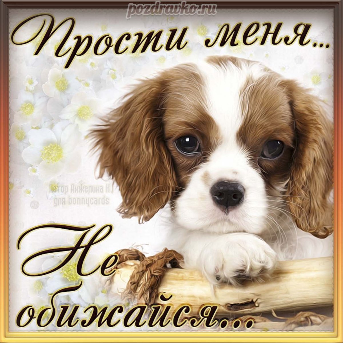 Открытки с прощением любимому мужу